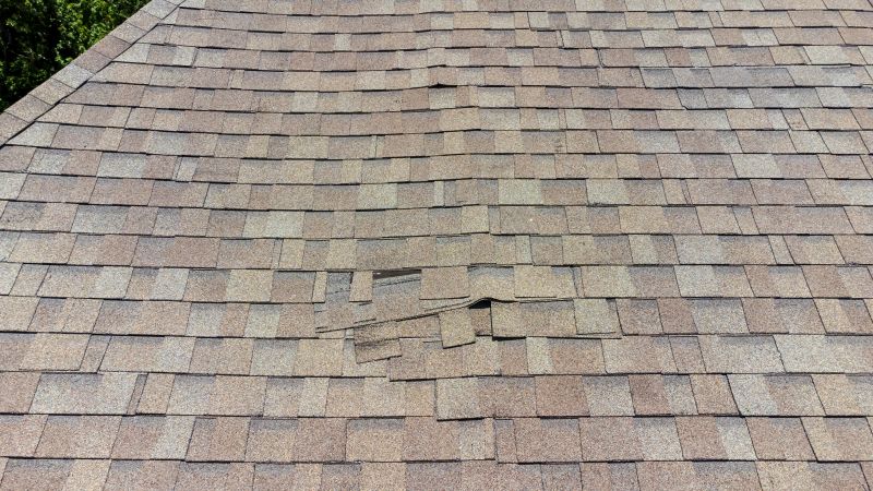Asphalt Roof Inspection in Barnegat Light, NJ