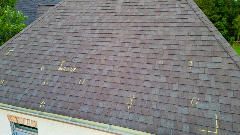 Asphalt Roof Inspection in Freehold, NJ