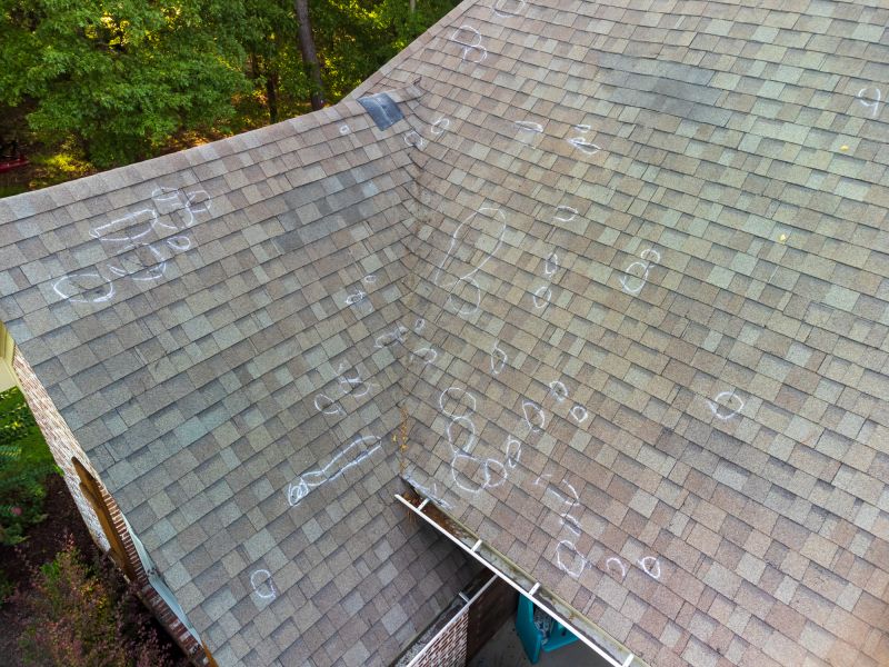 Asphalt Roof Inspection in Millstone Township, NJ