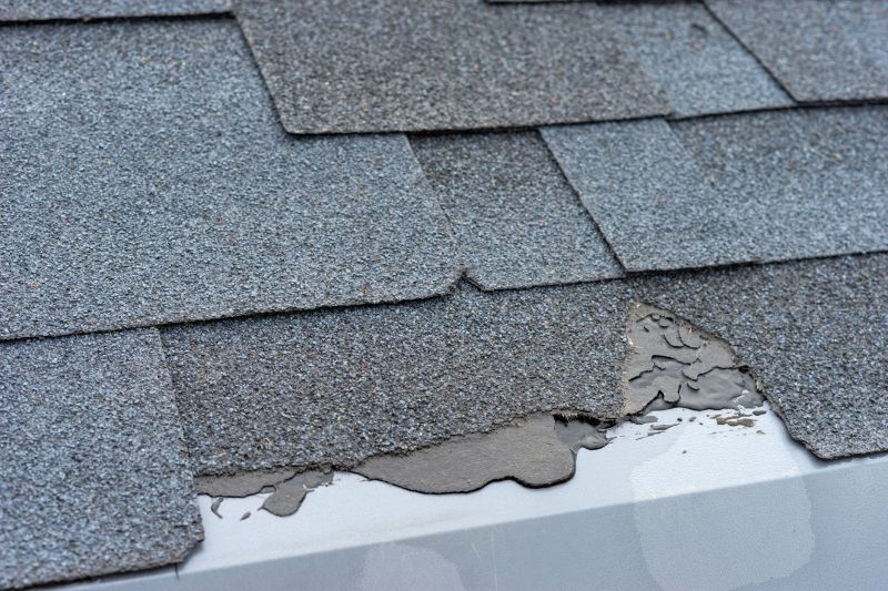Damaged Roof Repair in Point Pleasant Beach, NJ