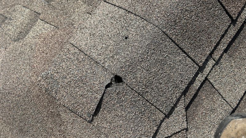Damaged Roof Repair in Point Pleasant Beach, NJ