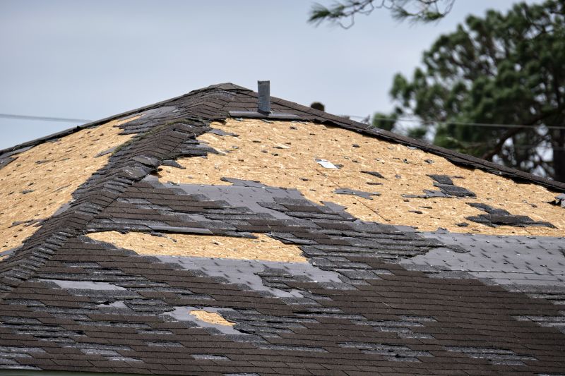 Roof Damage Inspection in Long Branch, NJ