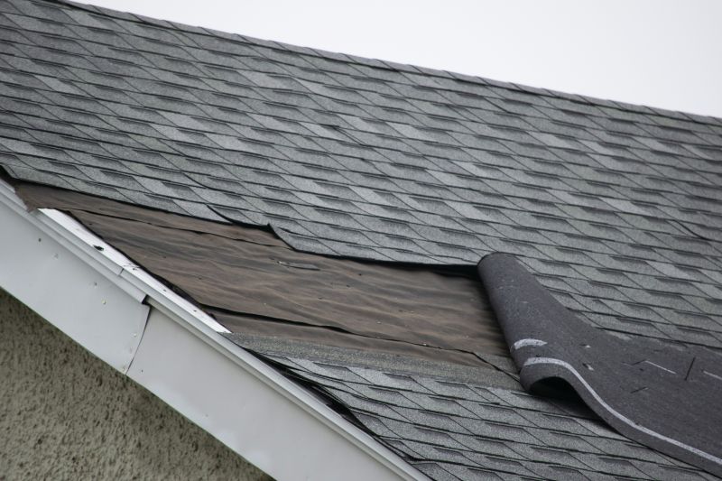 Roof Ridge Repair in Point Pleasant Beach, NJ